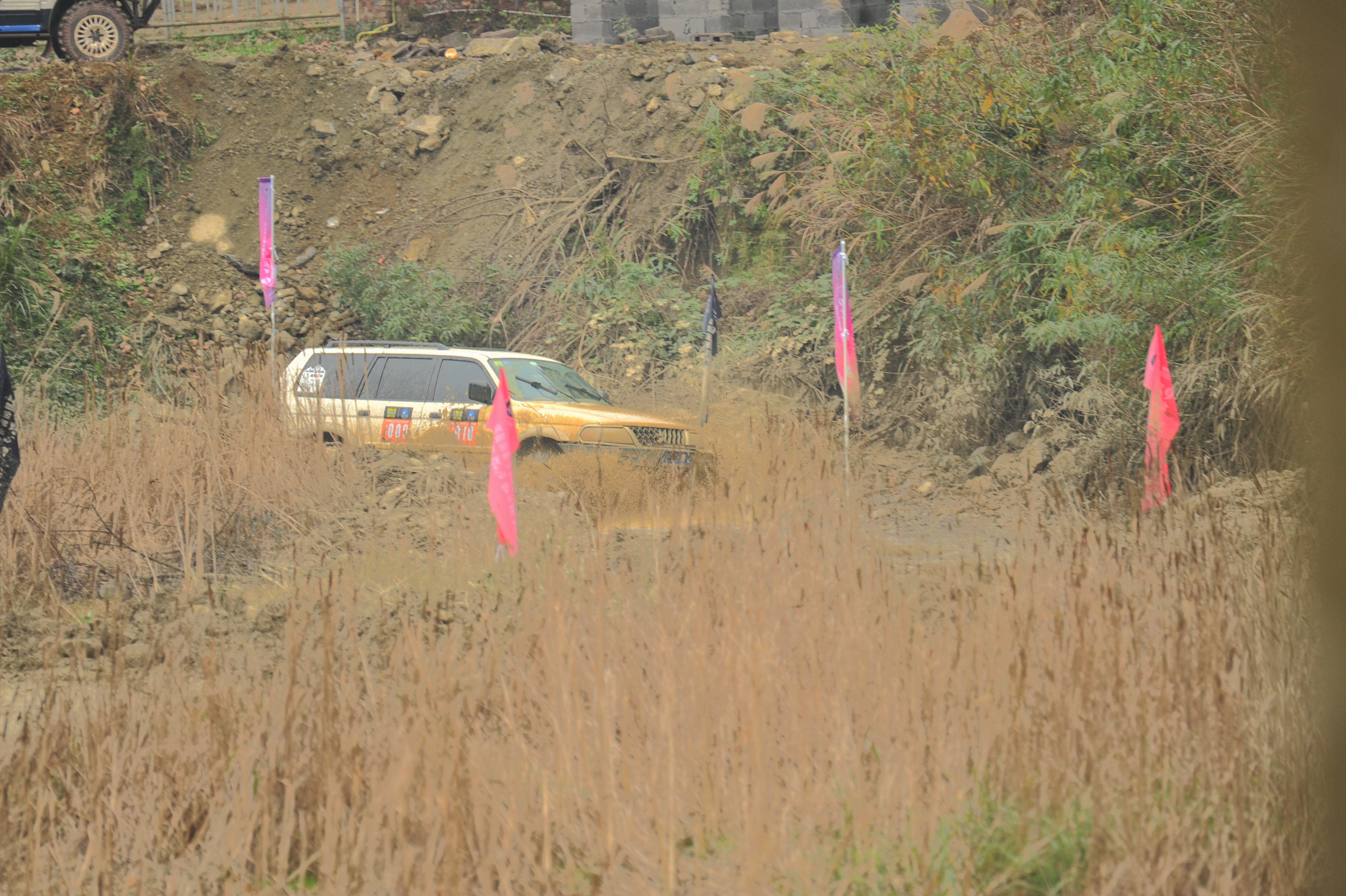 DSC_5597.JPG