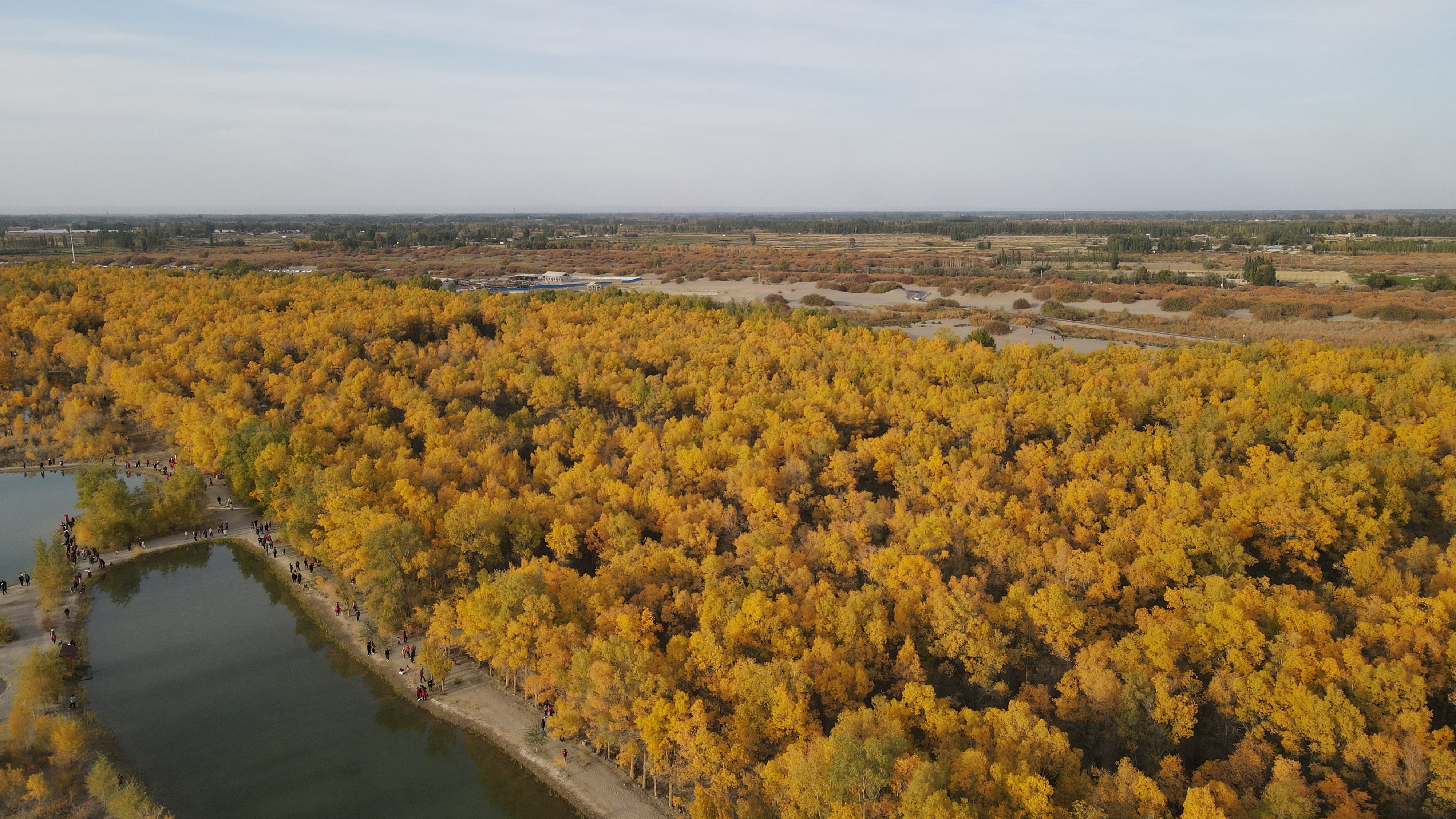 DJI_0080.JPG