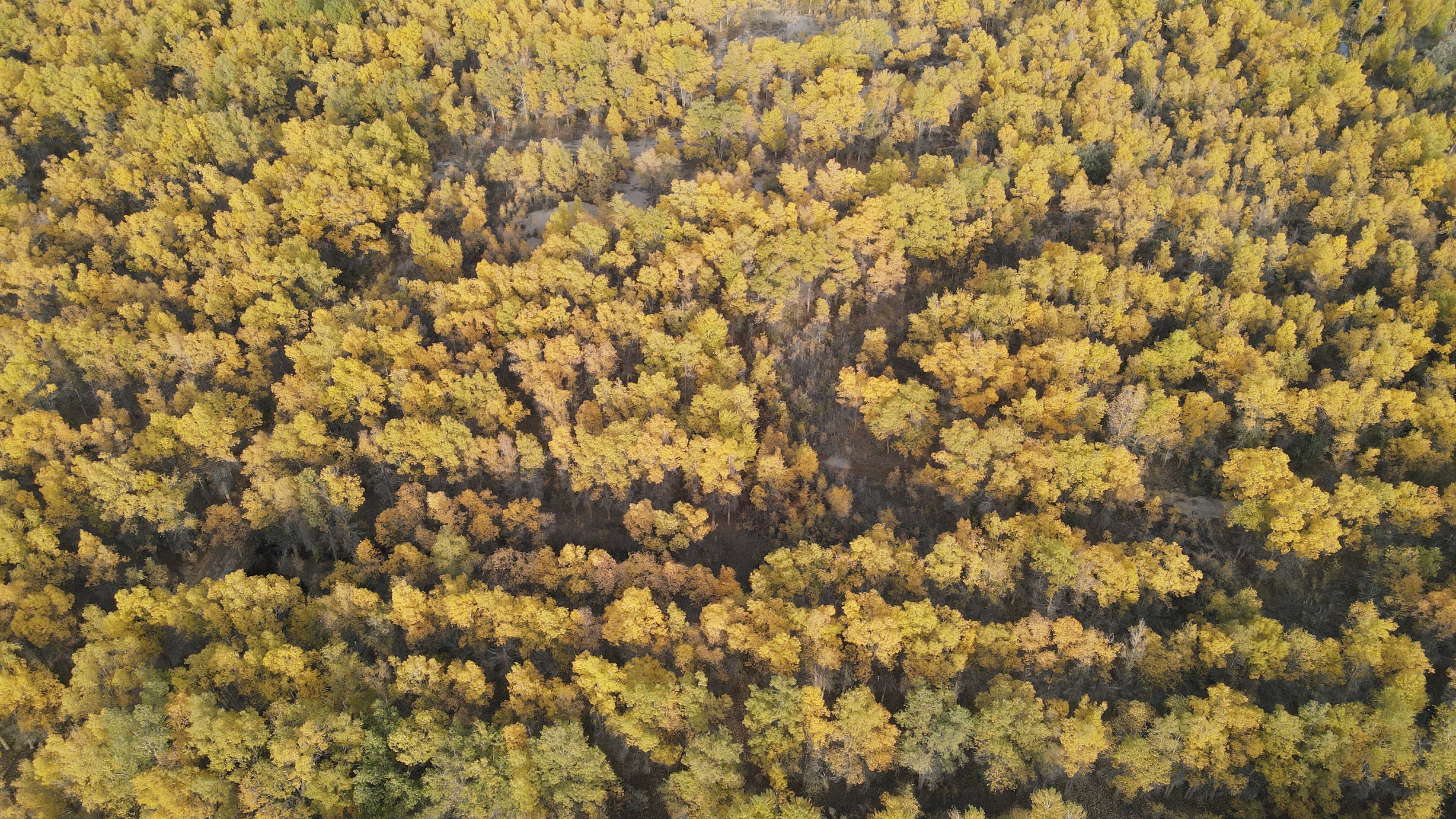 DJI_0075.JPG