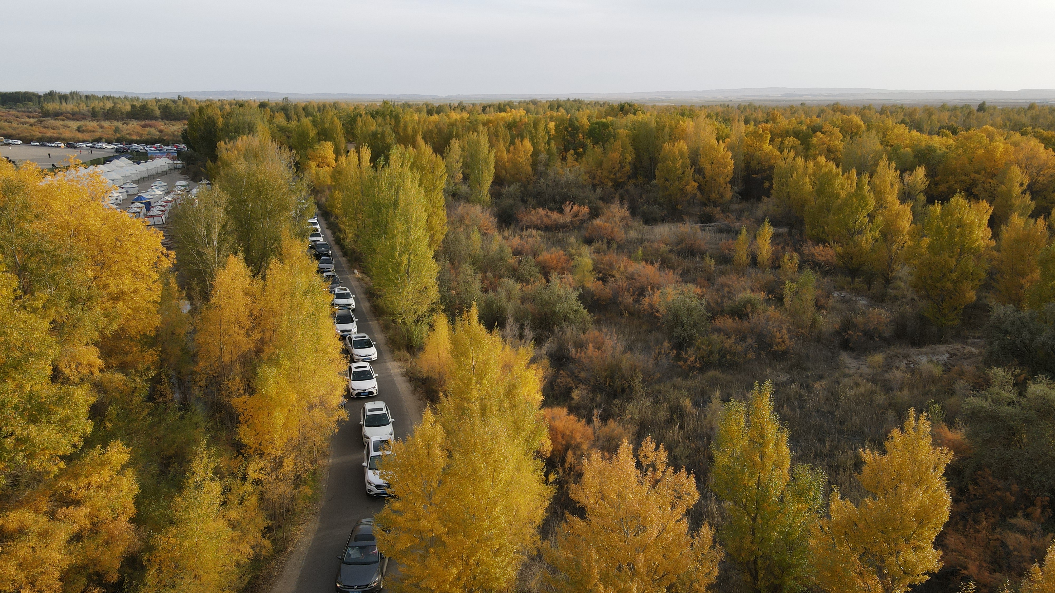 DJI_0111.JPG