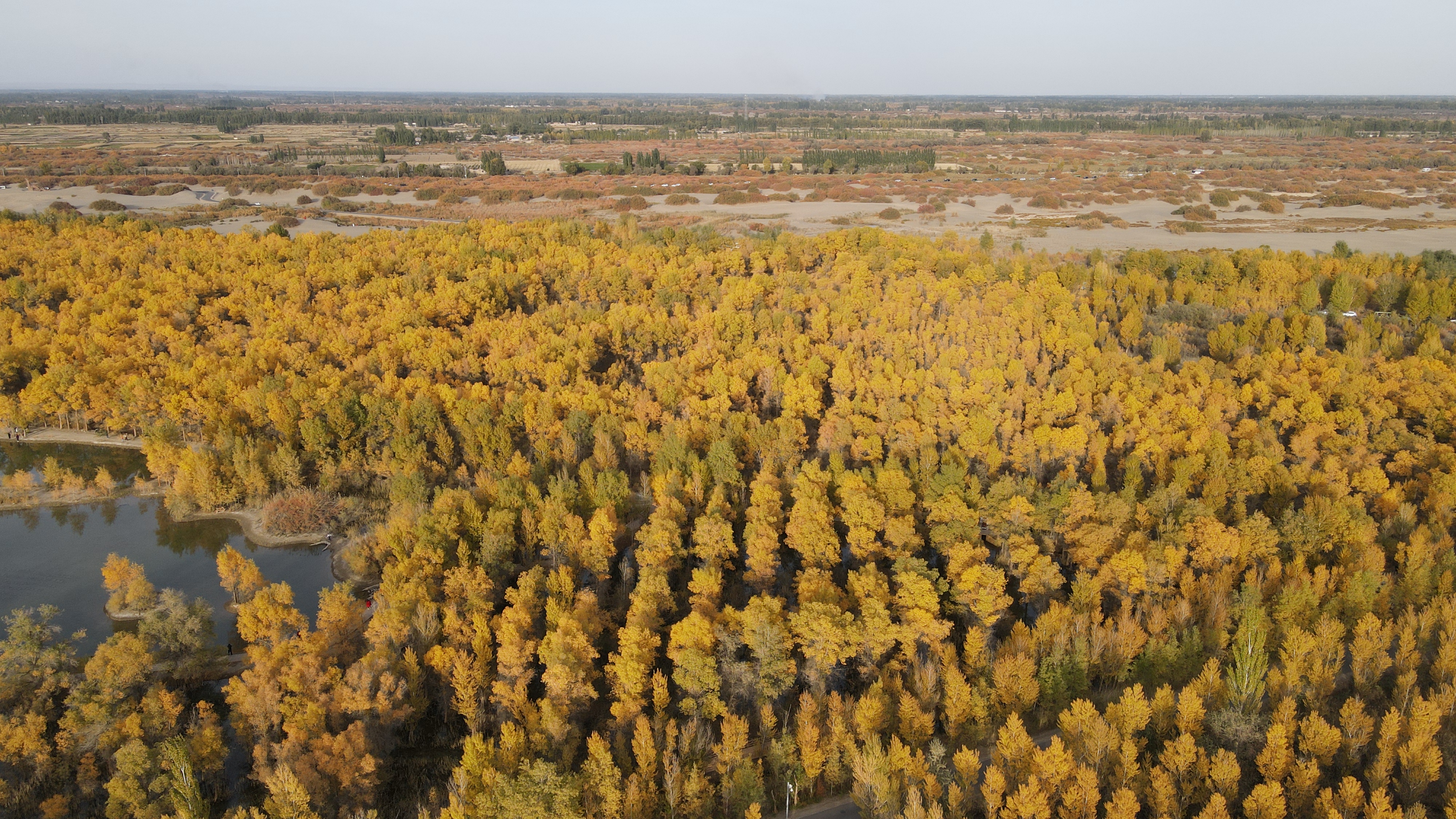 DJI_0061.JPG